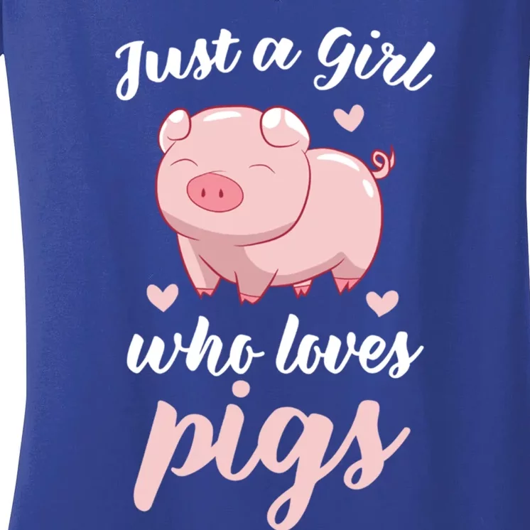 Just A Who Loves Pigs Cute Pig Lovers Gift Cool Gift Women's V-Neck T-Shirt