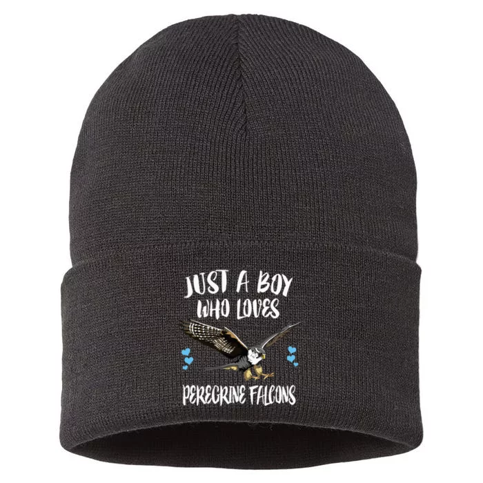 Just A Who Loves Peregrine Falcons Birds Sustainable Knit Beanie