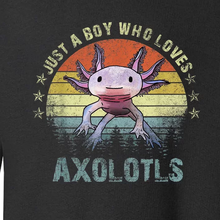 Just A  Who Loves Axolotls Funny Axolotl Gift for Boys Toddler Sweatshirt