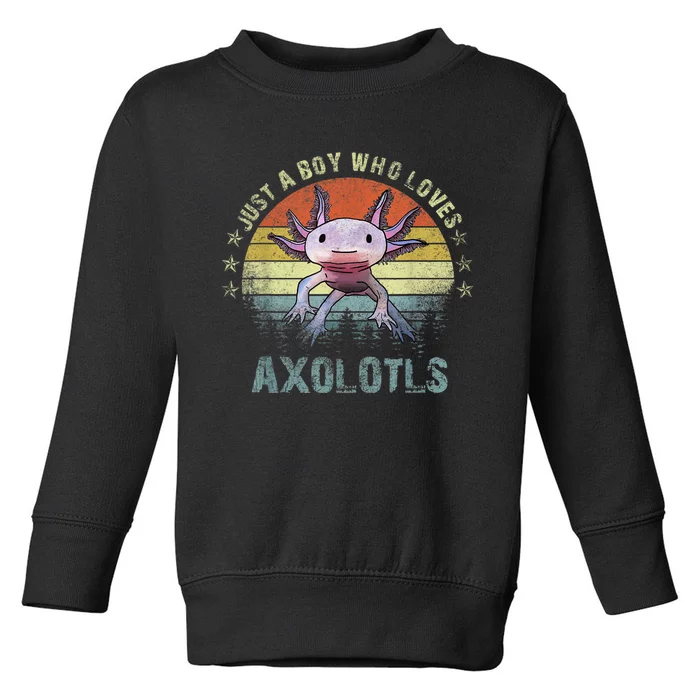 Just A  Who Loves Axolotls Funny Axolotl Gift for Boys Toddler Sweatshirt