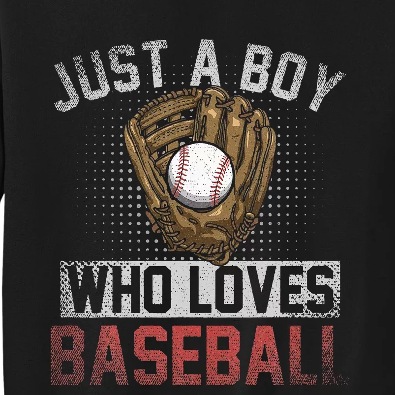 Just A  Who Loves Baseball Sweatshirt