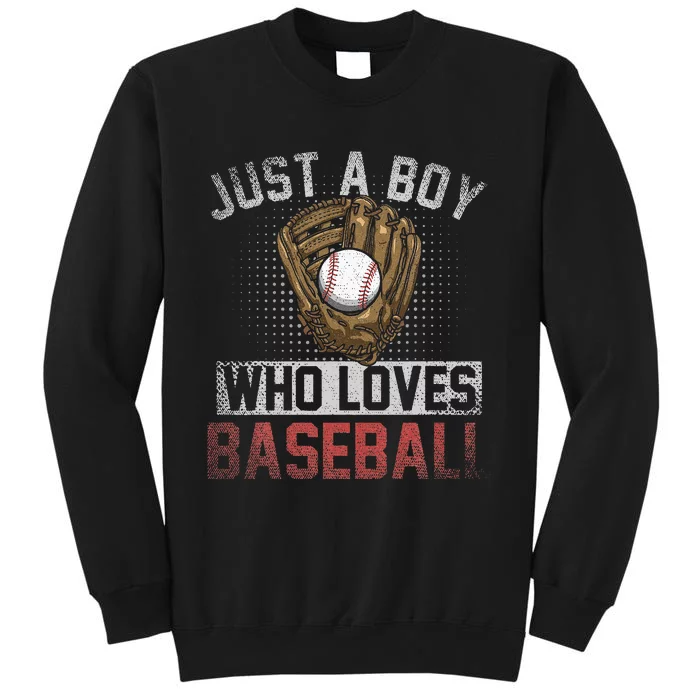 Just A  Who Loves Baseball Sweatshirt