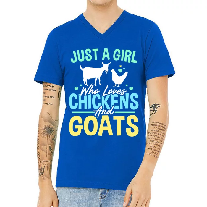 Just A Who Loves Chickens And Goats Funny Farm Owner Funny Gift V-Neck T-Shirt