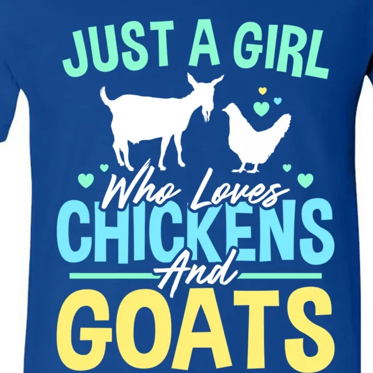 Just A Who Loves Chickens And Goats Funny Farm Owner Funny Gift V-Neck T-Shirt