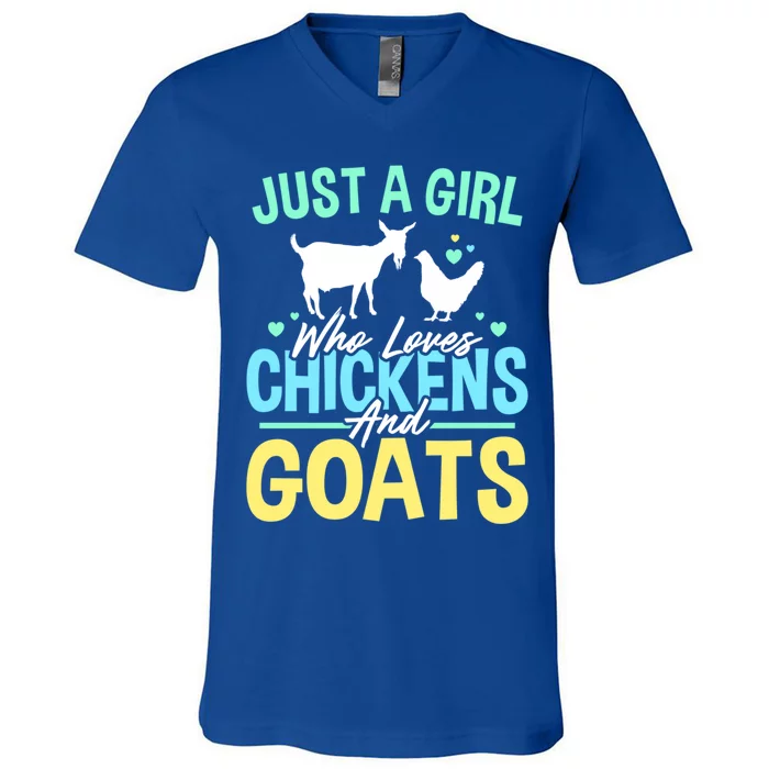 Just A Who Loves Chickens And Goats Funny Farm Owner Funny Gift V-Neck T-Shirt