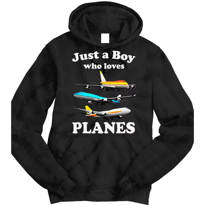 Just A Who Loves Planes Airplane Lover Tie Dye Hoodie