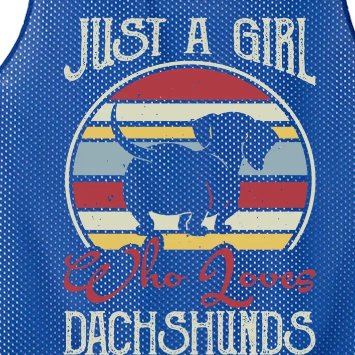 Just A Who Loves Dachshunds Dackel Teckel Gift Mesh Reversible Basketball Jersey Tank