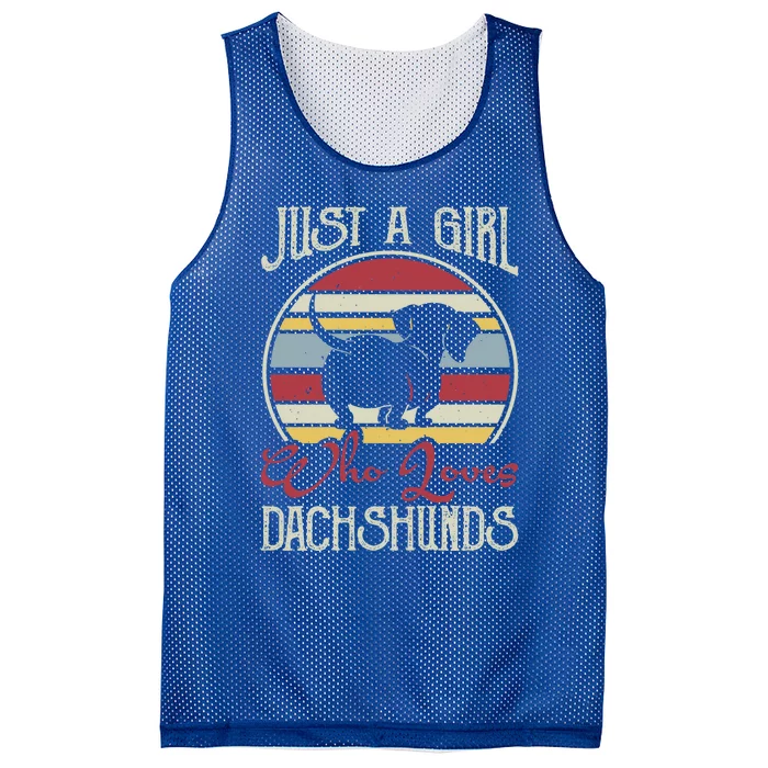 Just A Who Loves Dachshunds Dackel Teckel Gift Mesh Reversible Basketball Jersey Tank