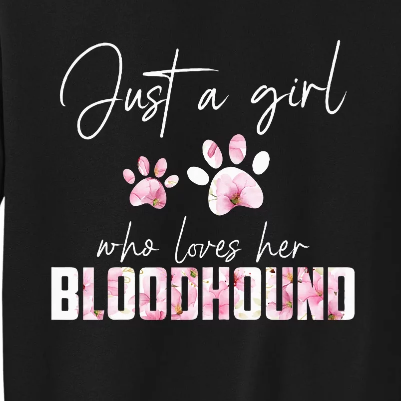 Just a who loves her bloodhound Sweatshirt