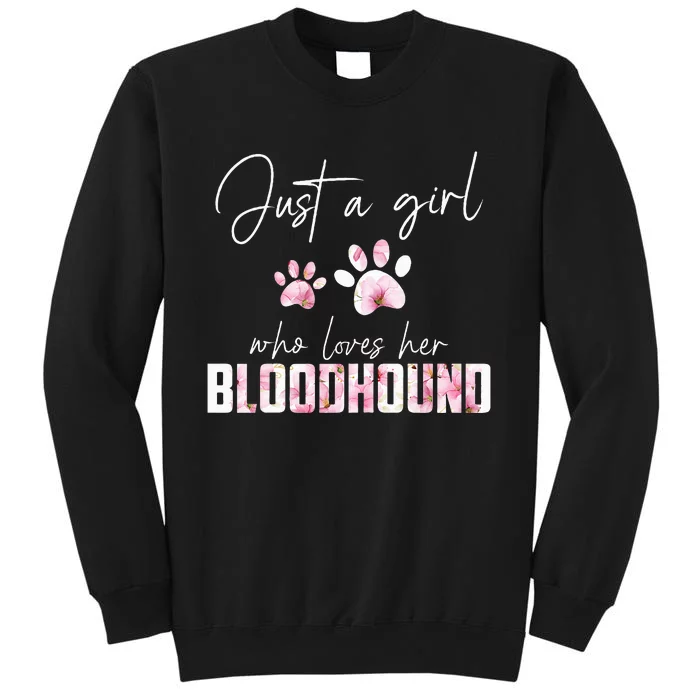 Just a who loves her bloodhound Sweatshirt