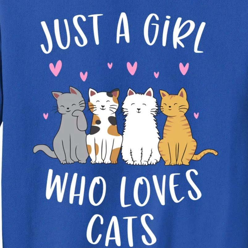 Just A Who Loves Cats Cute Cat Lover Meaningful Gift Tall Sweatshirt