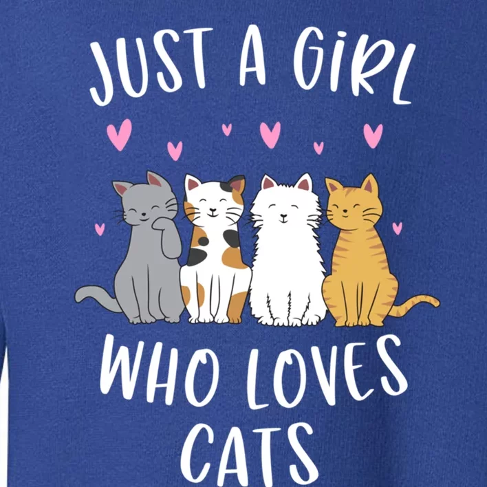 Just A Who Loves Cats Cute Cat Lover Meaningful Gift Toddler Sweatshirt