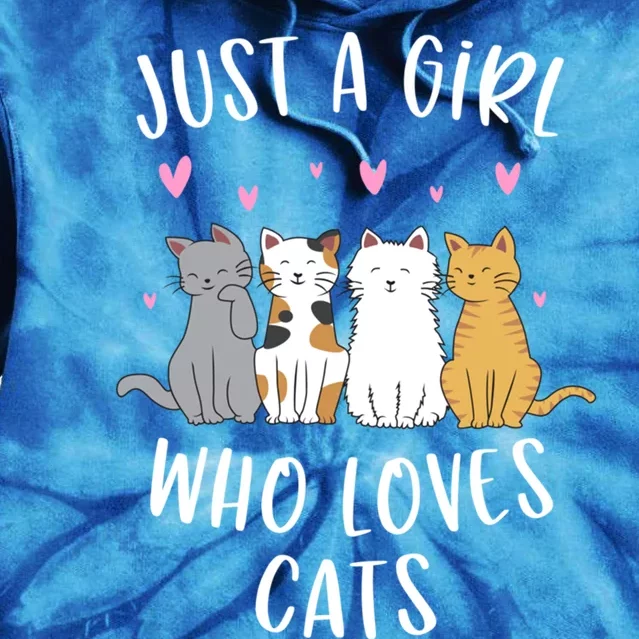 Just A Who Loves Cats Cute Cat Lover Meaningful Gift Tie Dye Hoodie