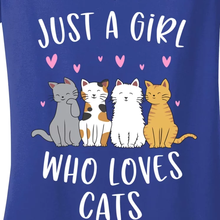 Just A Who Loves Cats Cute Cat Lover Meaningful Gift Women's V-Neck T-Shirt