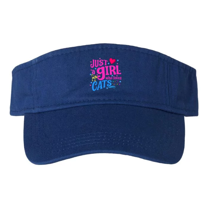 Just A Who Loves Cats Gift Valucap Bio-Washed Visor