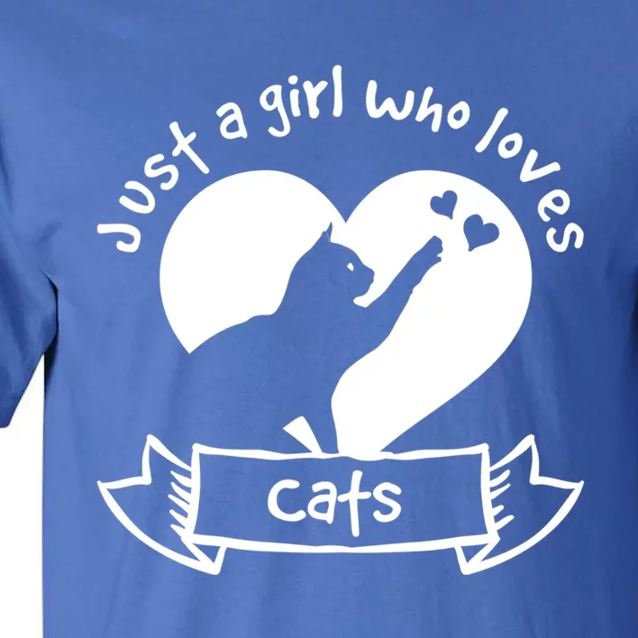 Just A Who Loves Cats Meaningful Gift Cat Gift Tall T-Shirt