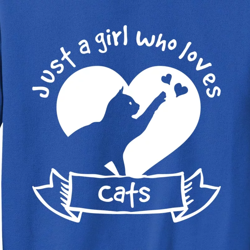 Just A Who Loves Cats Meaningful Gift Cat Gift Tall Sweatshirt