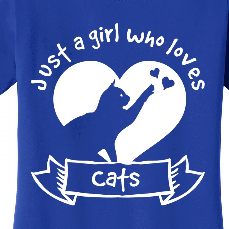 Just A Who Loves Cats Meaningful Gift Cat Gift Women's T-Shirt