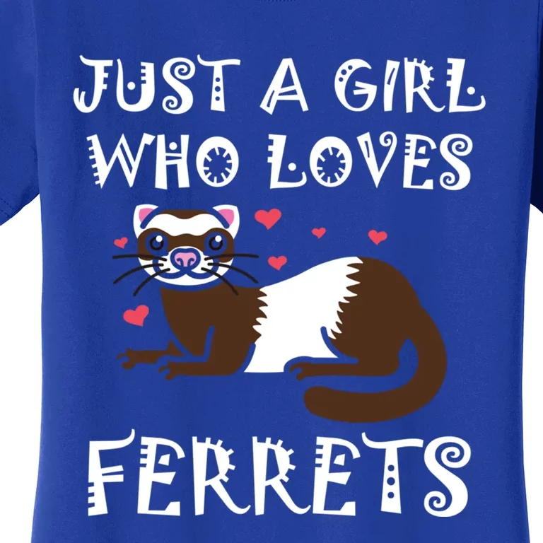 Just A Who Loves Ferrets Zoogoer Wildlife Animal Cool Gift Women's T-Shirt