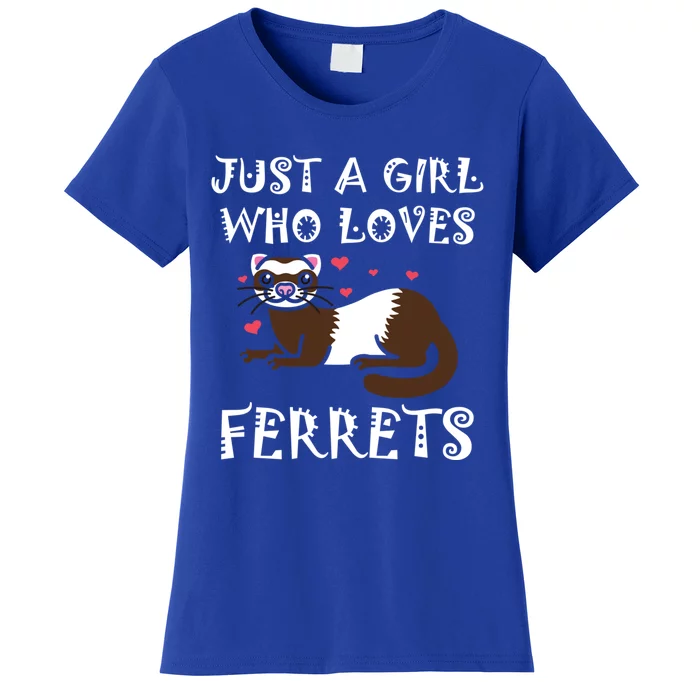 Just A Who Loves Ferrets Zoogoer Wildlife Animal Cool Gift Women's T-Shirt