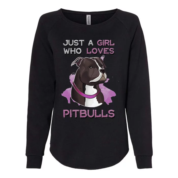 Just A Who Loves Pitbulls Funny Pitbull Dog Owner Quote Womens California Wash Sweatshirt