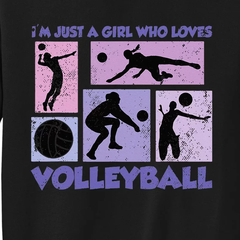 Just A Who Loves Volleyball Tall Sweatshirt