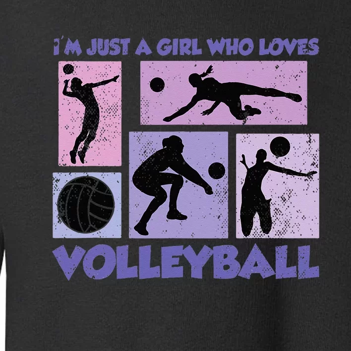 Just A Who Loves Volleyball Toddler Sweatshirt