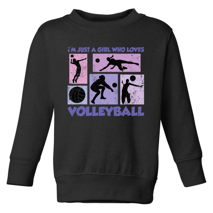 Just A Who Loves Volleyball Toddler Sweatshirt