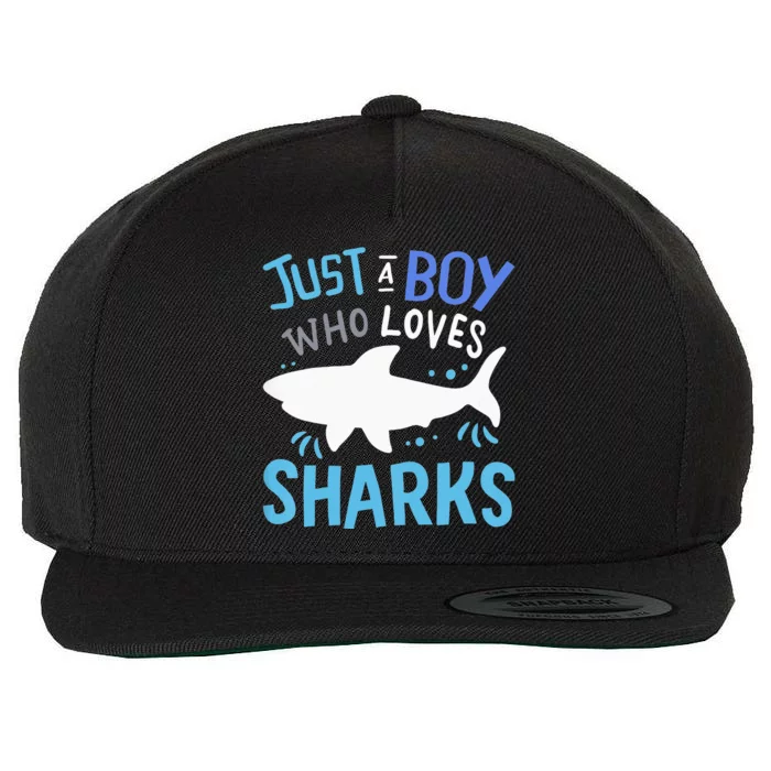 Just A  Who Loves Sharks Wool Snapback Cap