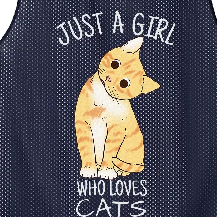 Just A Who Loves Cats Gift For Cat Lover Mesh Reversible Basketball Jersey Tank