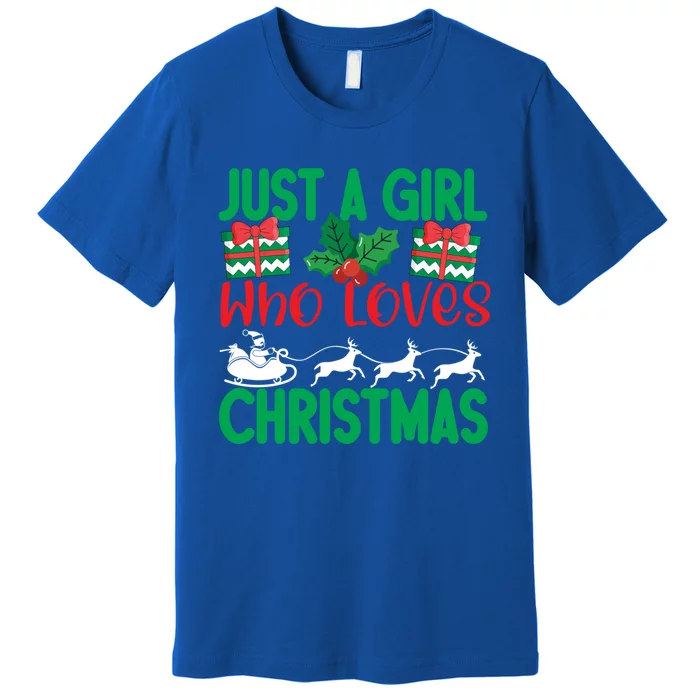 Just A Who Loves Christmas Funny Gift Premium T-Shirt