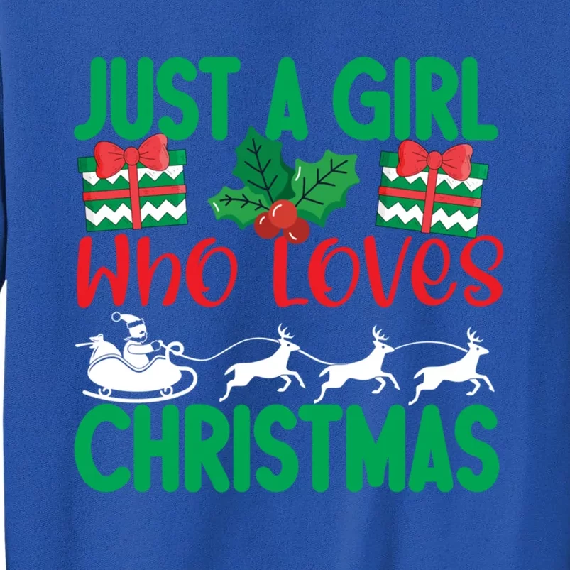 Just A Who Loves Christmas Funny Gift Tall Sweatshirt