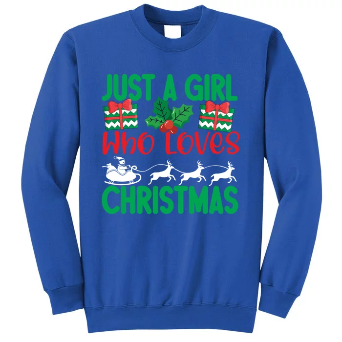 Just A Who Loves Christmas Funny Gift Tall Sweatshirt