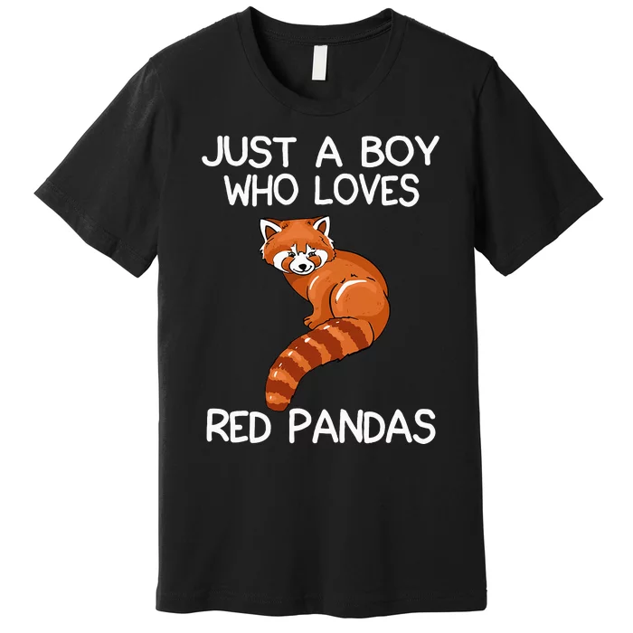 Just A Who Loves Red Pandas Gift Red Panda Premium T-Shirt