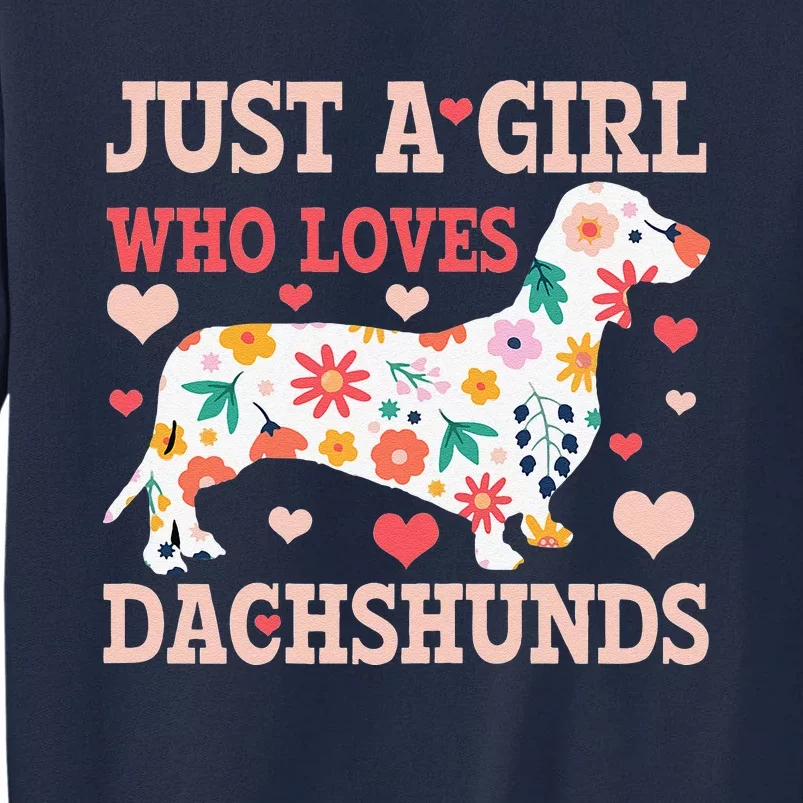 Just A Who Loves Dachshunds Funny Cute Doxie Dog Gift Tall Sweatshirt