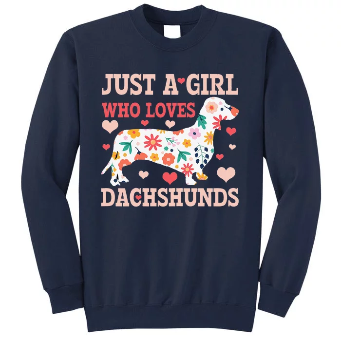 Just A Who Loves Dachshunds Funny Cute Doxie Dog Gift Tall Sweatshirt