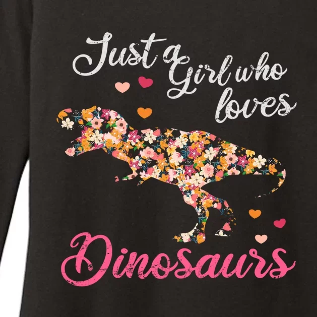 Just A Who Loves Dinosaurs Great Gift Dinosaur Gift Womens CVC Long Sleeve Shirt