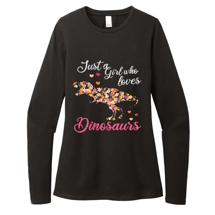 Just A Who Loves Dinosaurs Great Gift Dinosaur Gift Womens CVC Long Sleeve Shirt