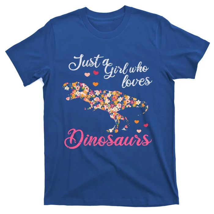 Just A Who Loves Dinosaurs Great Gift Dinosaur Gift T-Shirt