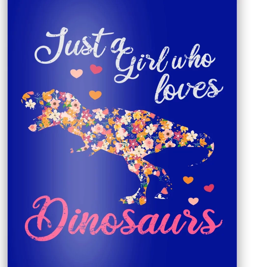 Just A Who Loves Dinosaurs Great Gift Dinosaur Gift Poster