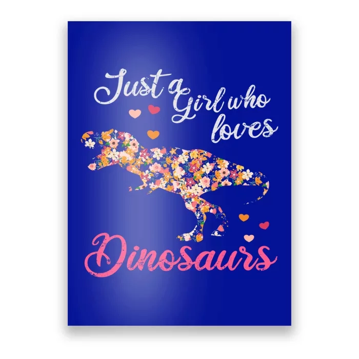 Just A Who Loves Dinosaurs Great Gift Dinosaur Gift Poster