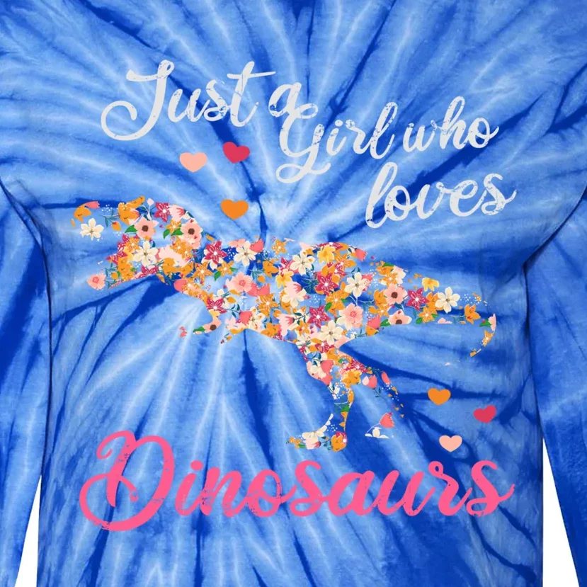 Just A Who Loves Dinosaurs Great Gift Dinosaur Gift Tie-Dye Long Sleeve Shirt