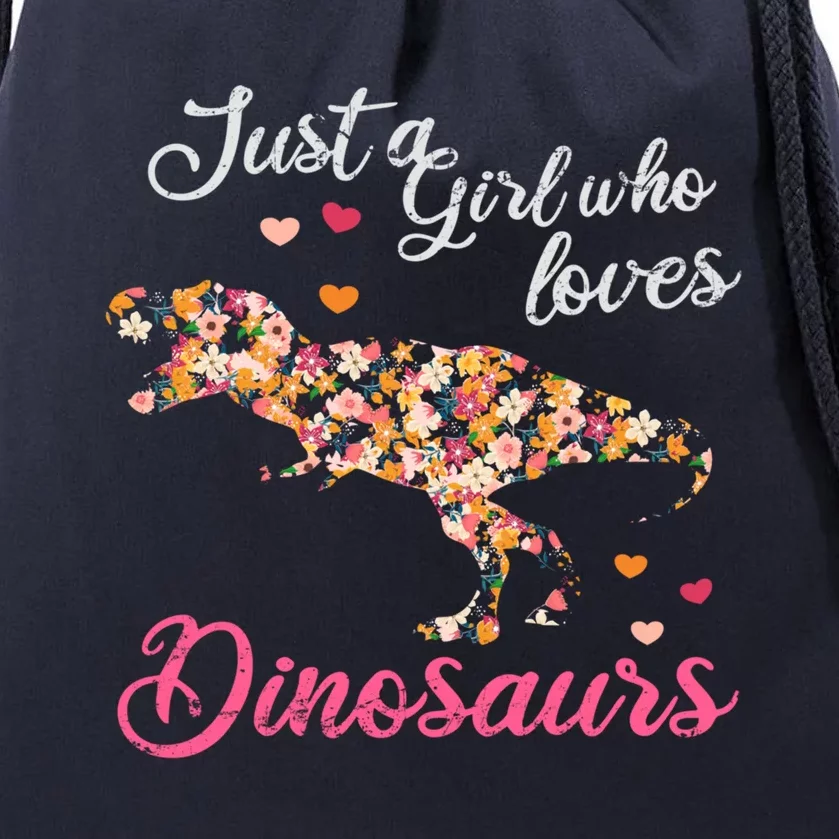 Just A Who Loves Dinosaurs Great Gift Dinosaur Gift Drawstring Bag