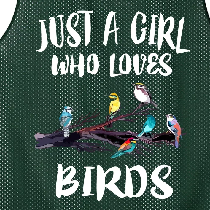 Just A Who Loves Birds Birding Lovers Birdwatcher Mesh Reversible Basketball Jersey Tank