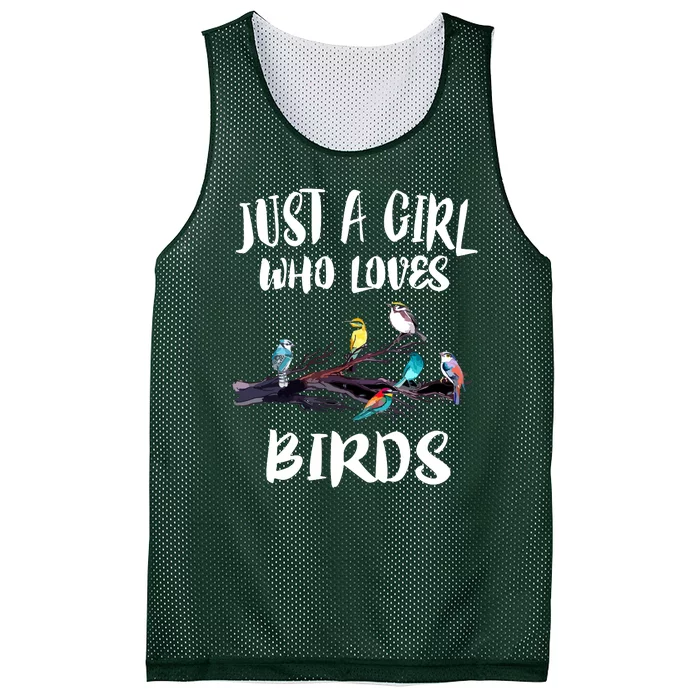 Just A Who Loves Birds Birding Lovers Birdwatcher Mesh Reversible Basketball Jersey Tank