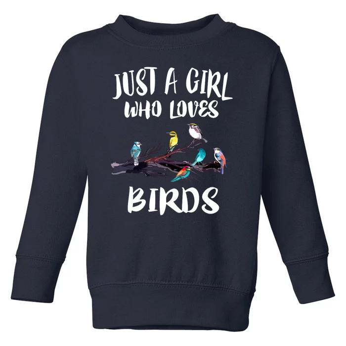 Just A Who Loves Birds Birding Lovers Birdwatcher Toddler Sweatshirt