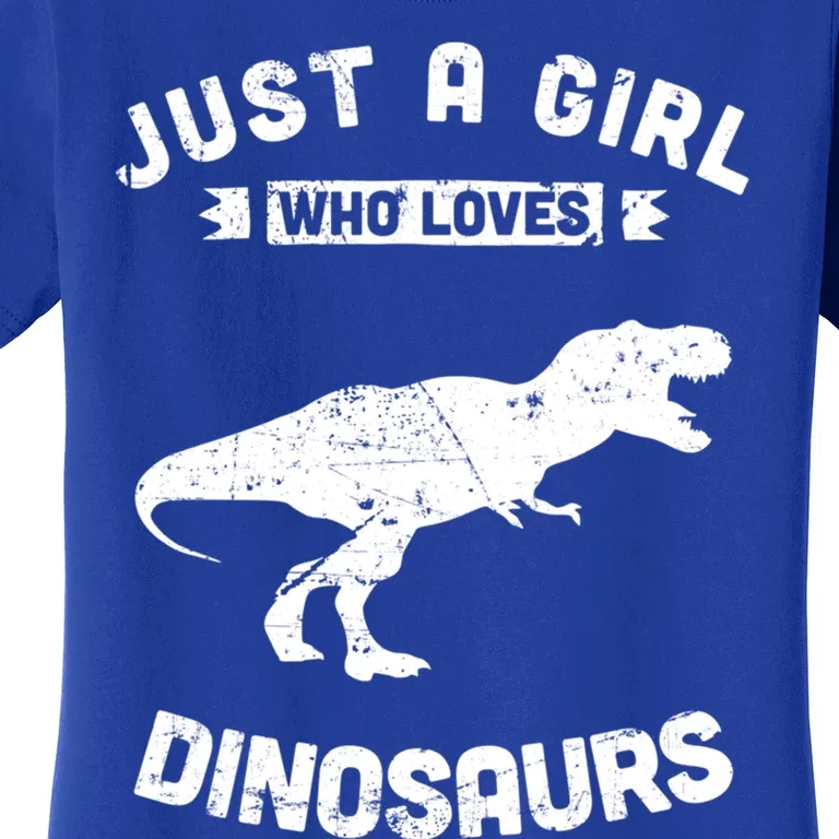 Just A Who Loves Dinosaurs Gift Women's T-Shirt