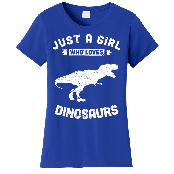 Just A Who Loves Dinosaurs Gift Women's T-Shirt