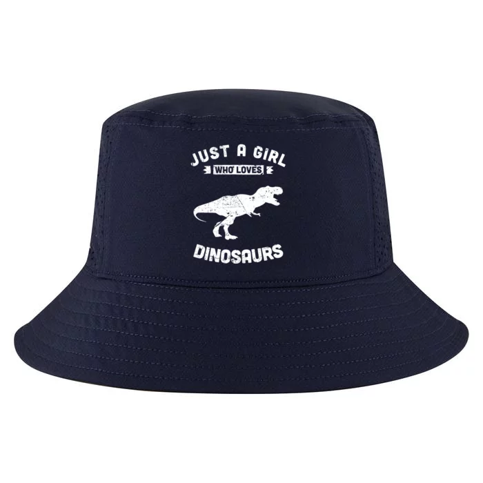 Just A Who Loves Dinosaurs Gift Cool Comfort Performance Bucket Hat