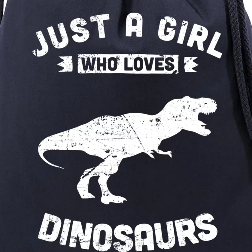 Just A Who Loves Dinosaurs Gift Drawstring Bag